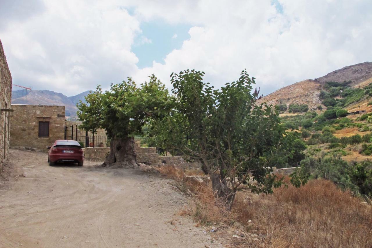 Petrakis Cretan Homes Casa di campagna Kíssamos