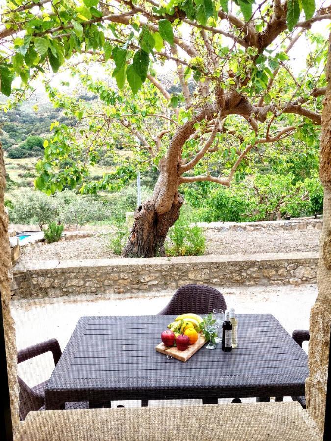 Petrakis Cretan Homes