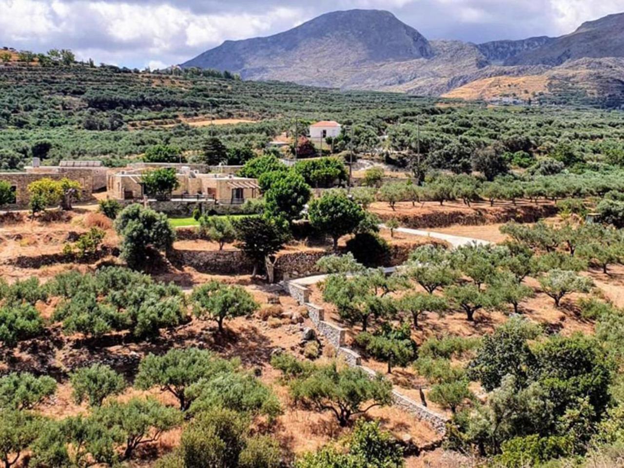 Petrakis Cretan Homes Country house *