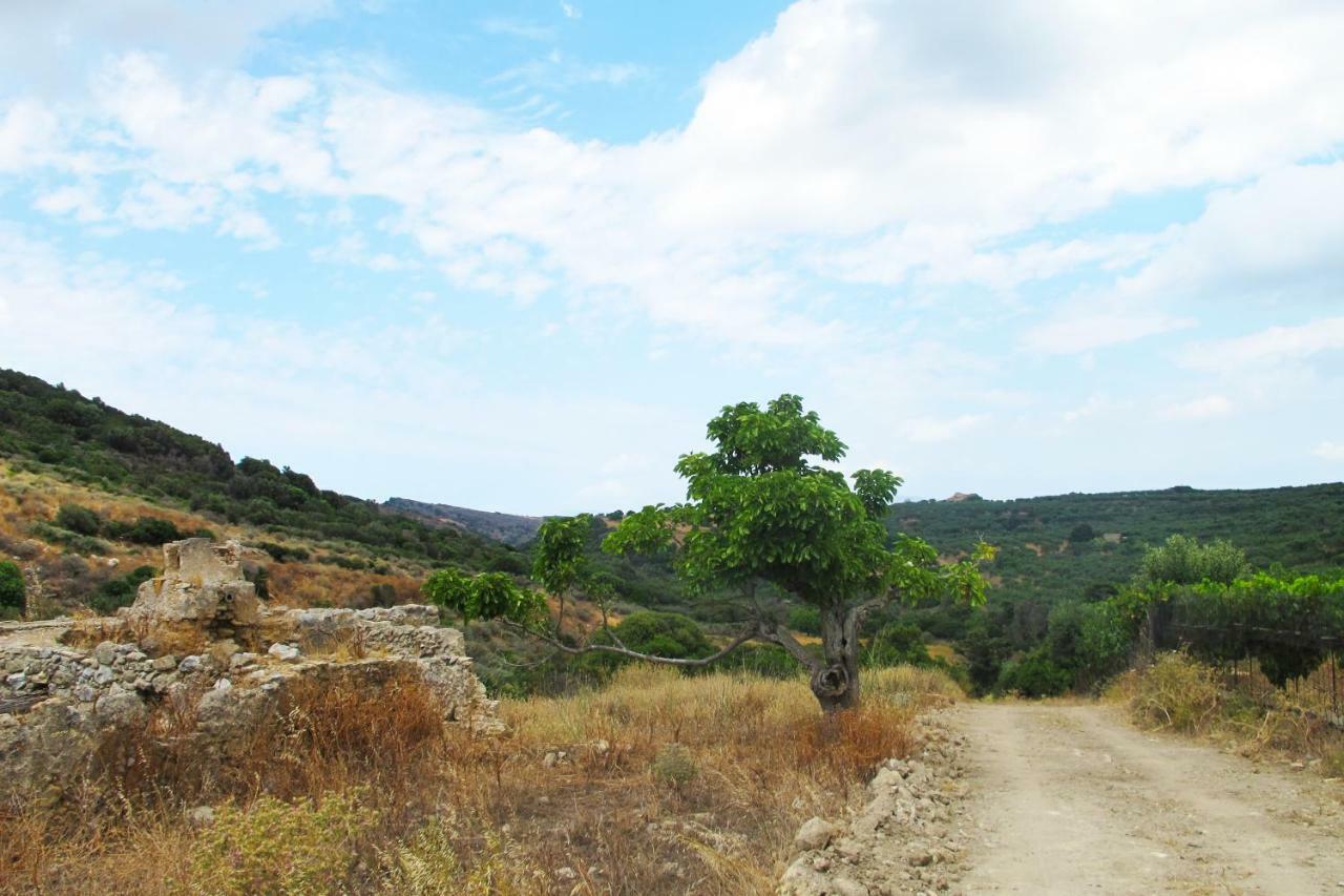 Petrakis Cretan Homes Kissamos