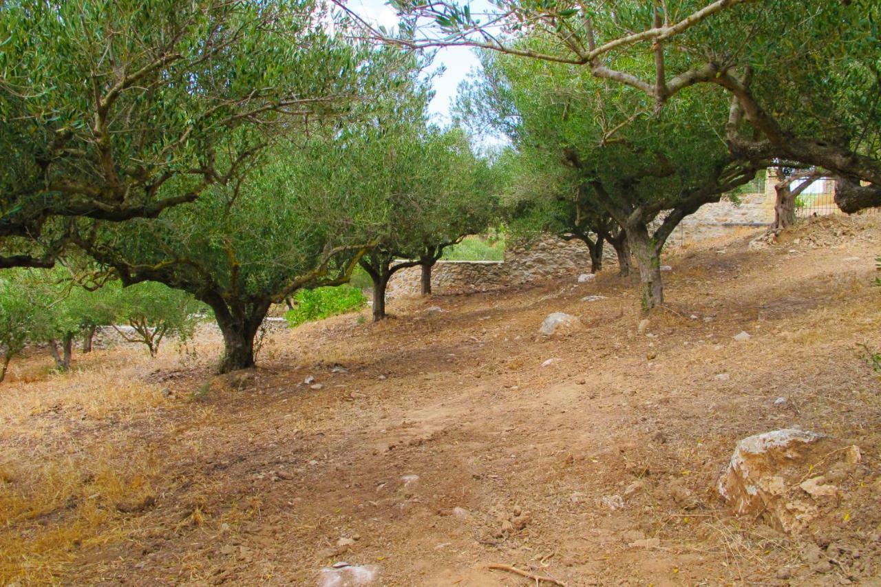 Country house Petrakis Cretan Homes
