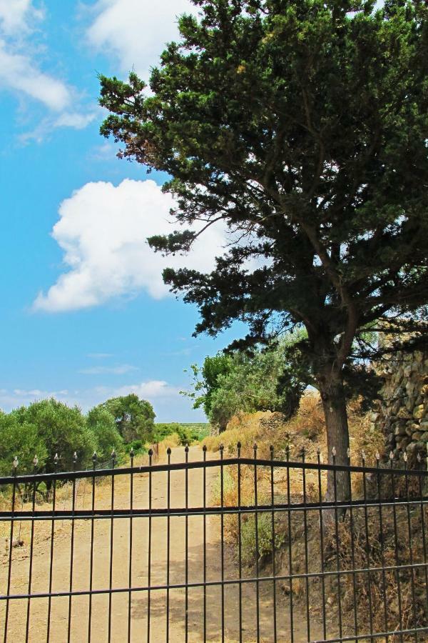 Country house Petrakis Cretan Homes Kissamos