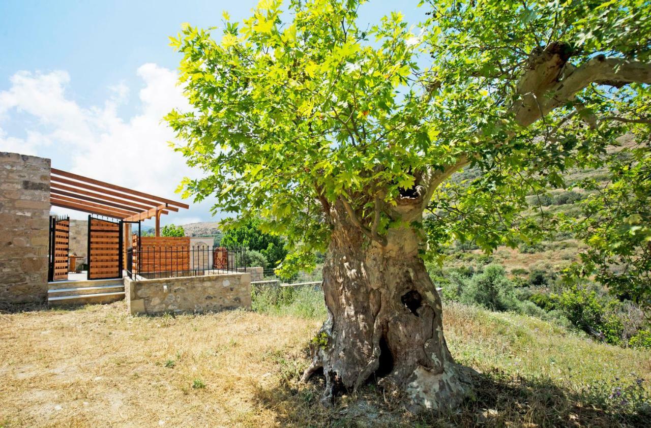 Petrakis Cretan Homes